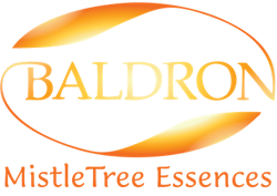 Baldron Essentials UG